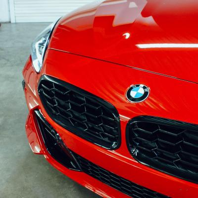 Z4 - XPEL Paint Protection 