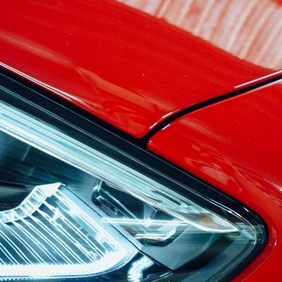 Z4 - XPEL Paint Protection 