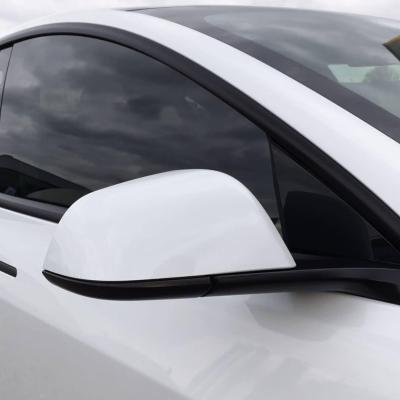 Tinted Windows + Chrome Delete