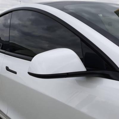Tinted Windows + Chrome Delete