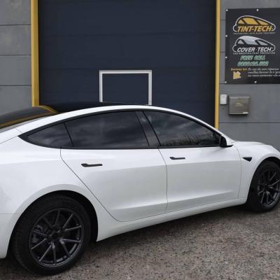 Tinted Windows + Chrome Delete