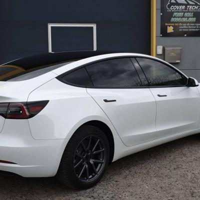 Tinted Windows + Chrome Delete