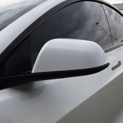 Tinted Windows + Chrome Delete