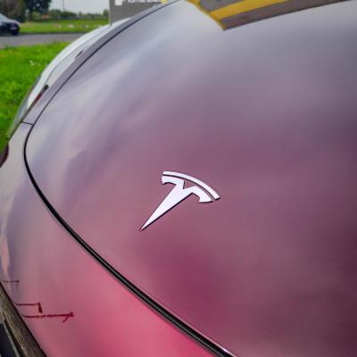 Model Y - Full Paint Protection
