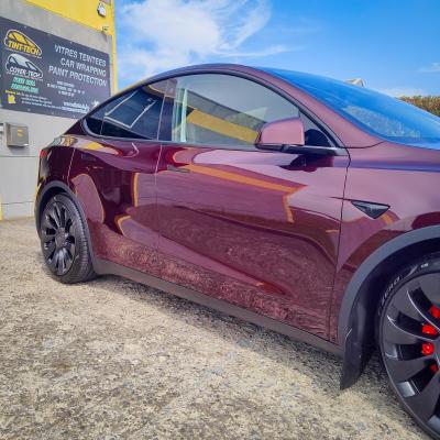 Model Y - Full Paint Protection