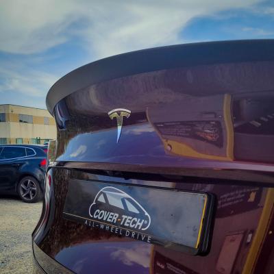 Model Y - Full Paint Protection