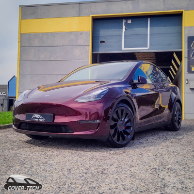Model Y - Full Paint Protection