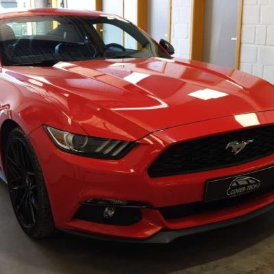 Mustang - Stripping