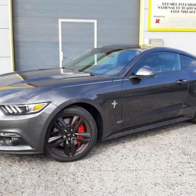 Mustang - Tint van de achterruiten in 80%